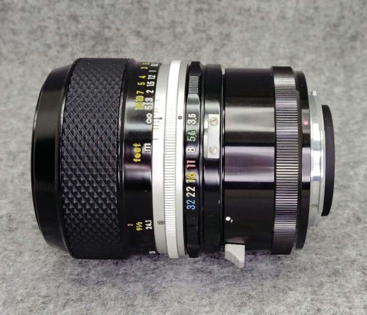 Micro-NIKKOR-P Auto55mm f/3.5　M2リング付