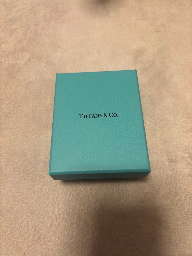 Tiffany & Co. シルバーボールペンダント ネックレス