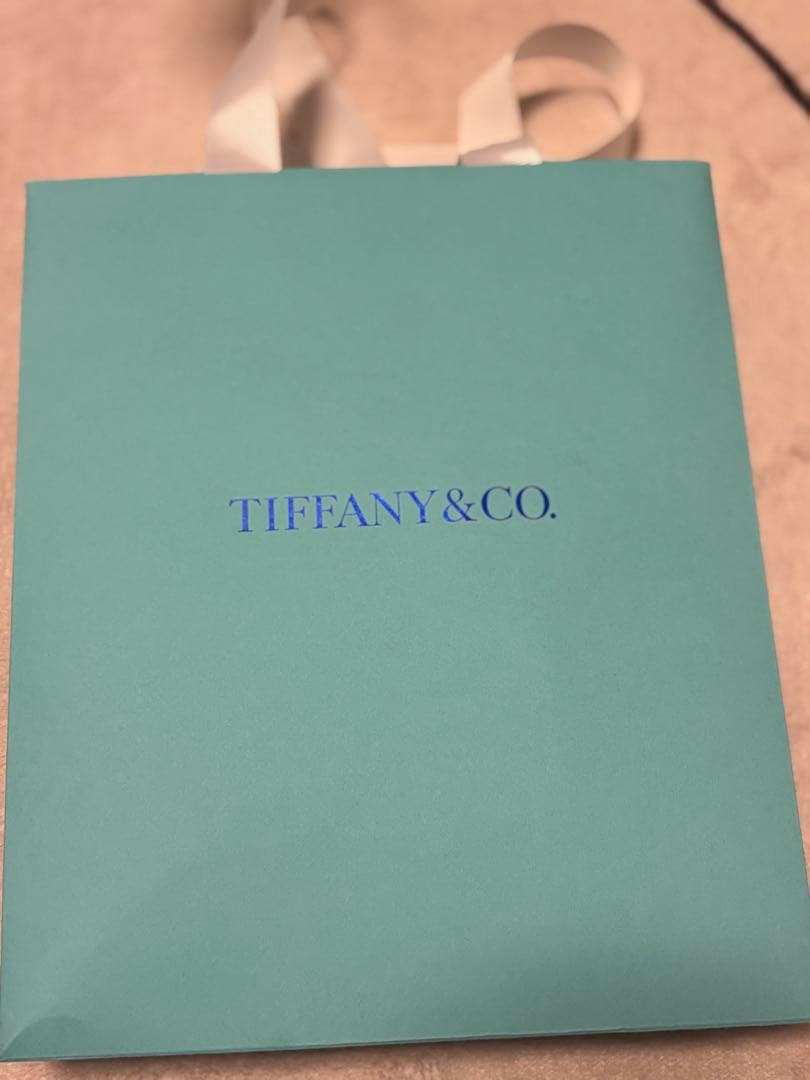 Tiffany & Co. シルバーボールペンダント ネックレス