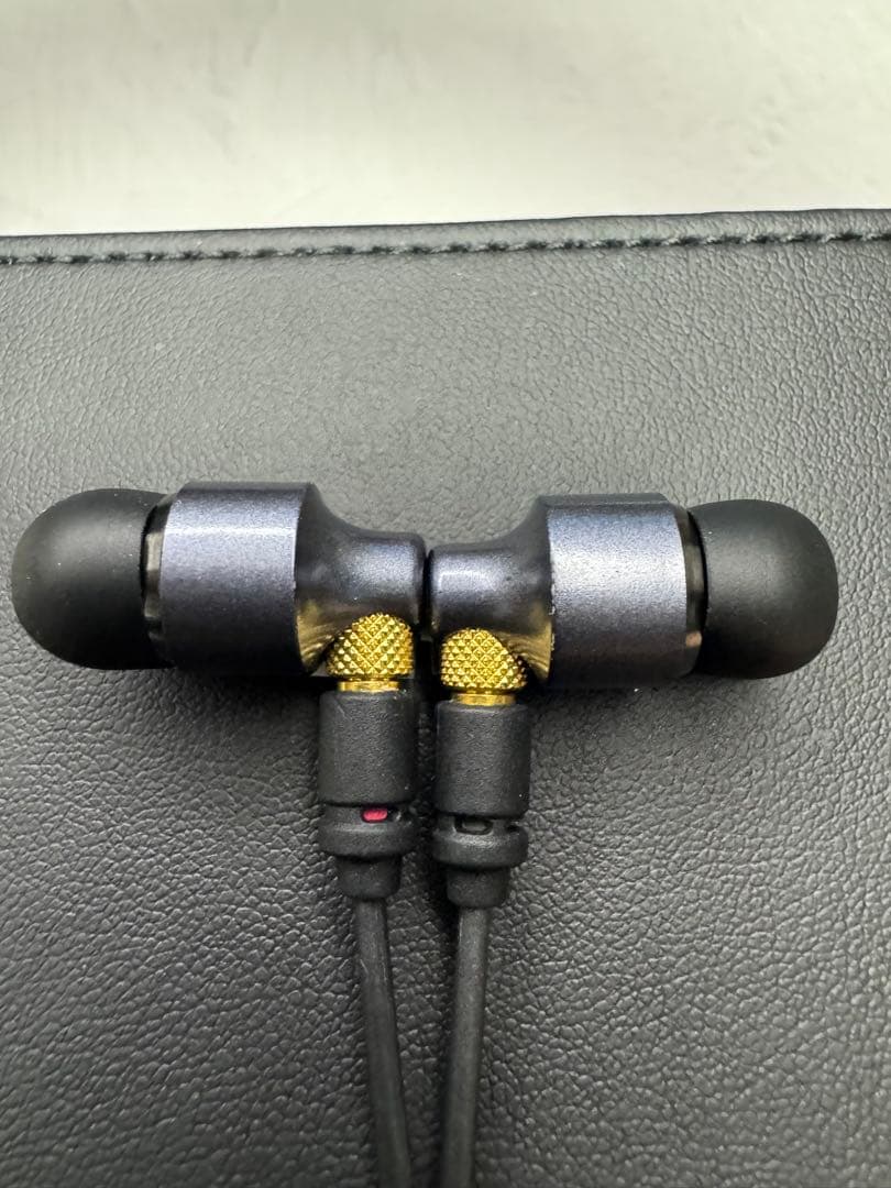 Technics TZ700 有線イヤホン