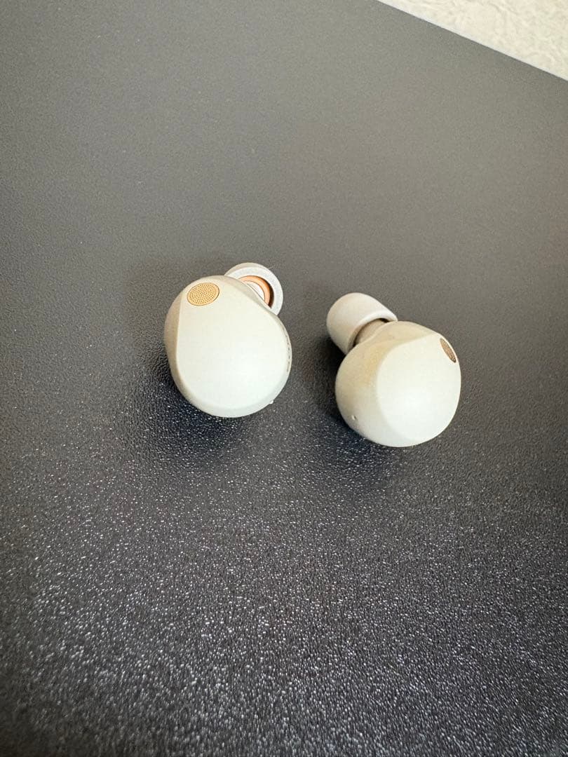 ピーピ ワイヤレスイヤホン WF-1000XM5（S） プラチナシルバー