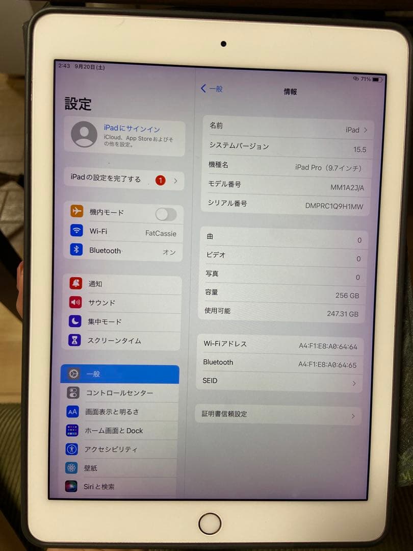 iPad Pro（9.7インチ） 本体 256GB