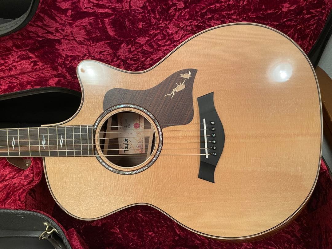 Taylor 814CE V-class J-Spec (特別仕様) オマケ付