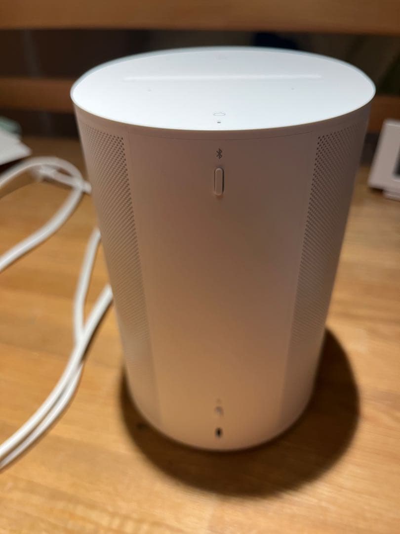 Sonos ERA 100 ソノス　エラ100