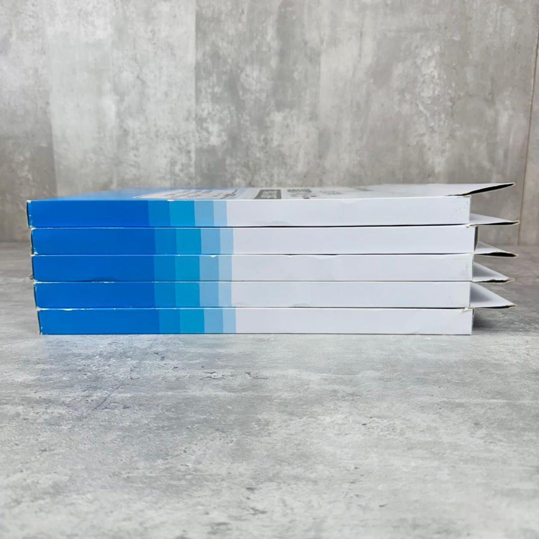 アイリスオーヤマ 集塵フィルター PMAC-100HF 5点セット 未使用品