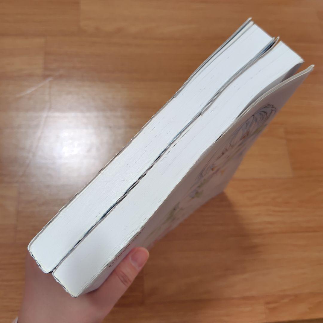 2冊セット　新世紀エヴァンゲリオン劇場版原画集〈上巻〉〈下巻〉　庵野秀明