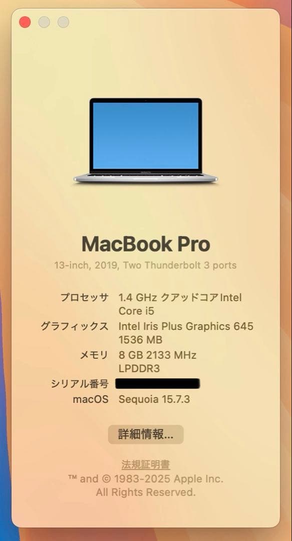 【即日発送】Macbook PRO 2019 シルバー