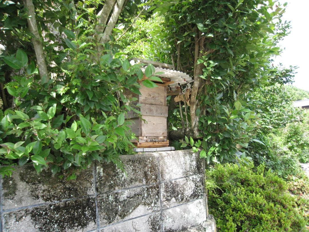 ♥️極み★稀少セット品②『100％純粋春蜜の2瓶セット』《幻の天然完熟百花蜜》