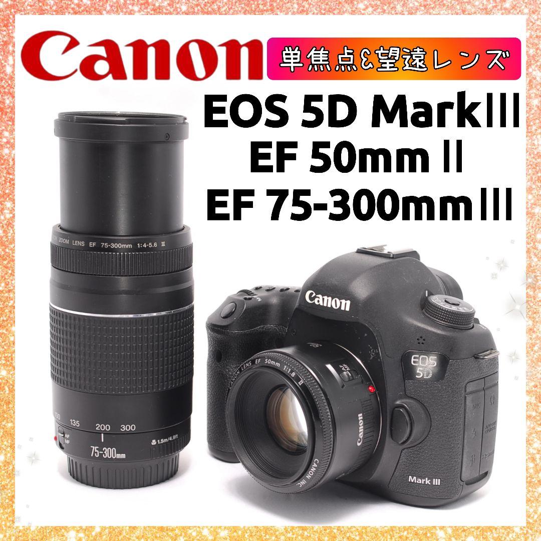 ❤即購入1000円OFF❤ Canon 5D Mark Ⅲ 単焦点×望遠レンズ