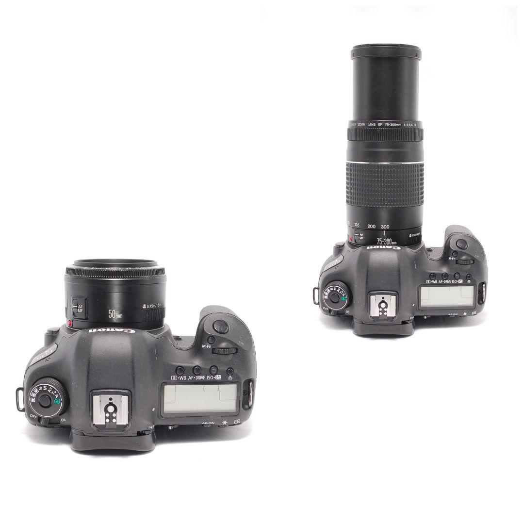 ❤即購入1000円OFF❤ Canon 5D Mark Ⅲ 単焦点×望遠レンズ