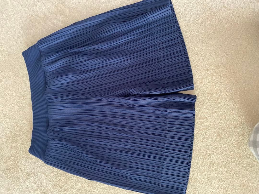 プリーツプリーズ