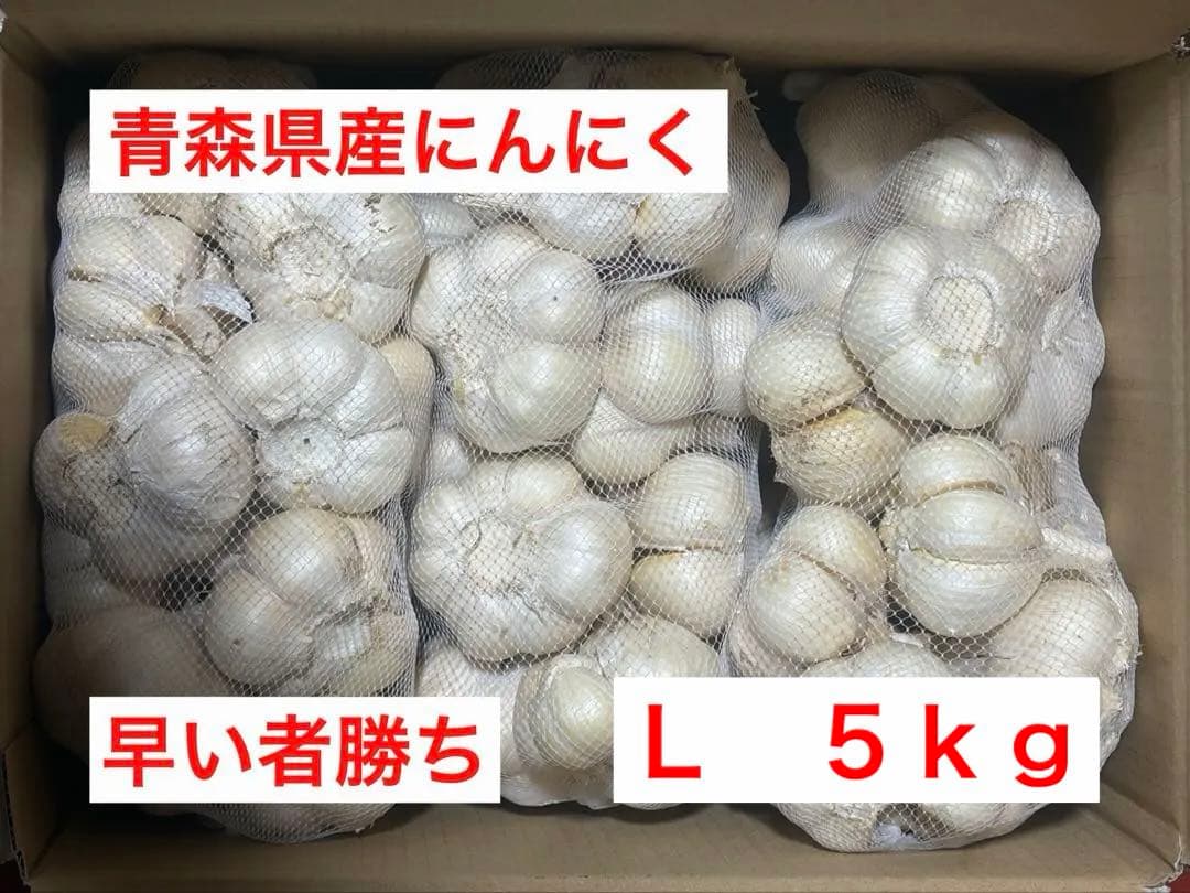 青森県産にんにく　発根　Ｌ　５ｋｇ　早い者勝ち