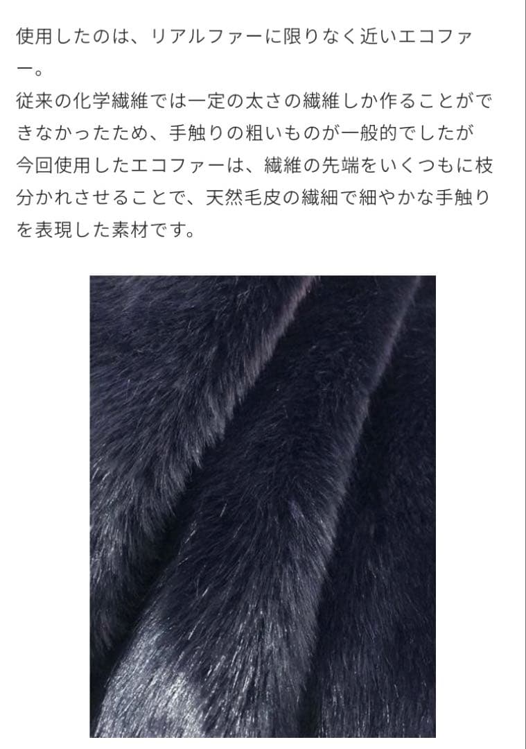 near nippon （1erアロンディスモン別注） ファーブルゾンコート