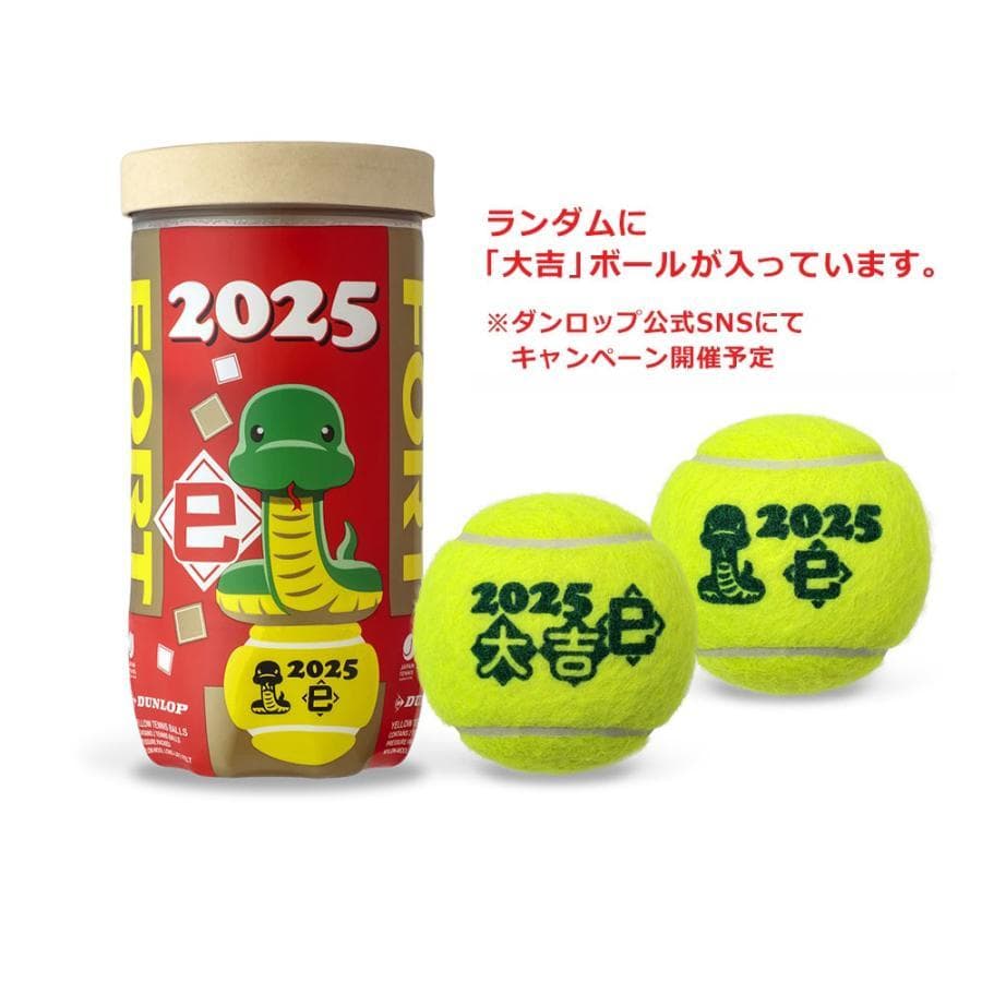 【新品】ダンロップ フォート 干支ボール 2025年「巳」　1箱60球