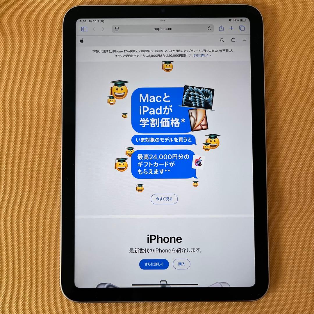 iPad mini 第7世代 Wi-Fiモデル 512GB