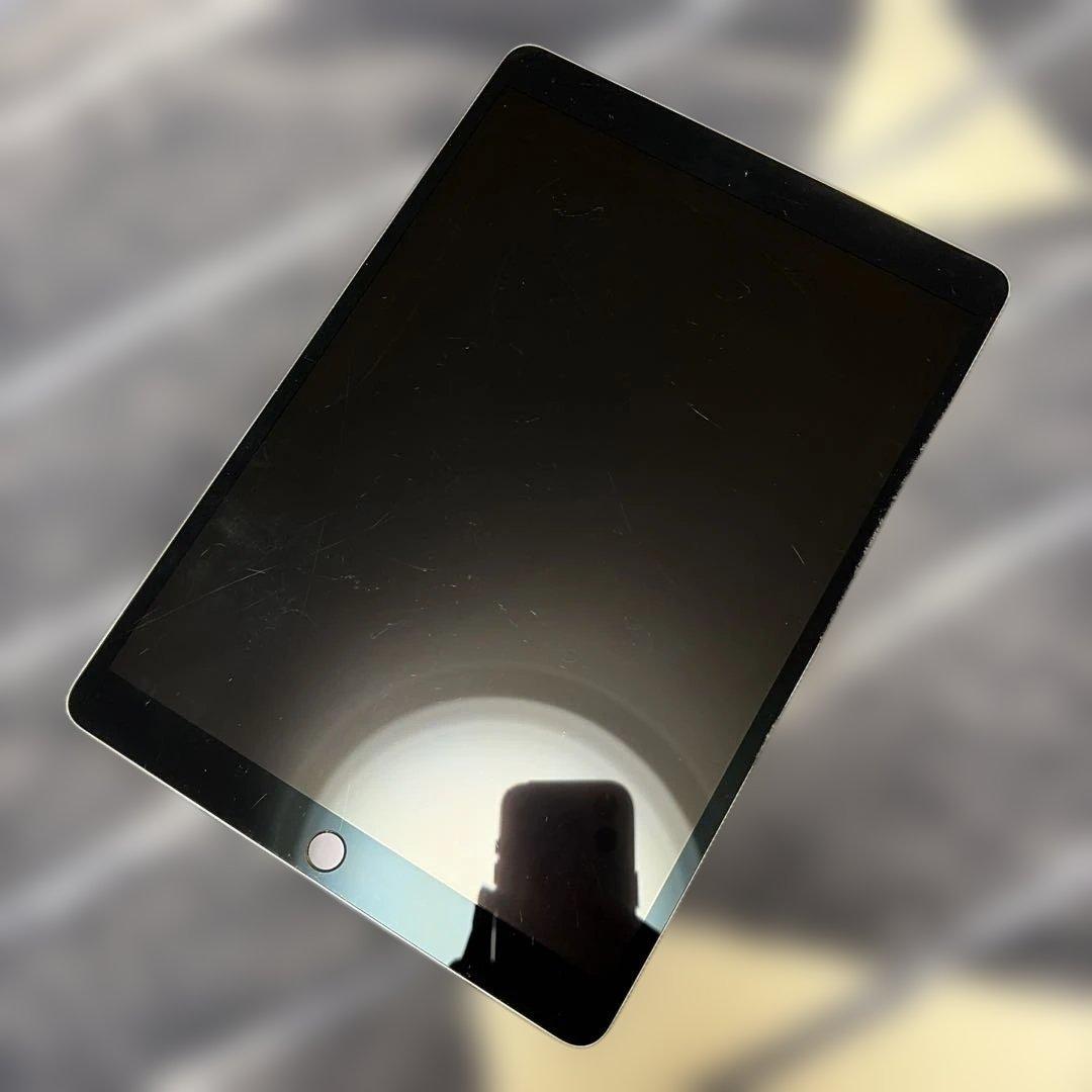 ぺ*た様 Apple iPad Pro 10.5インチ　512GB moftスタ