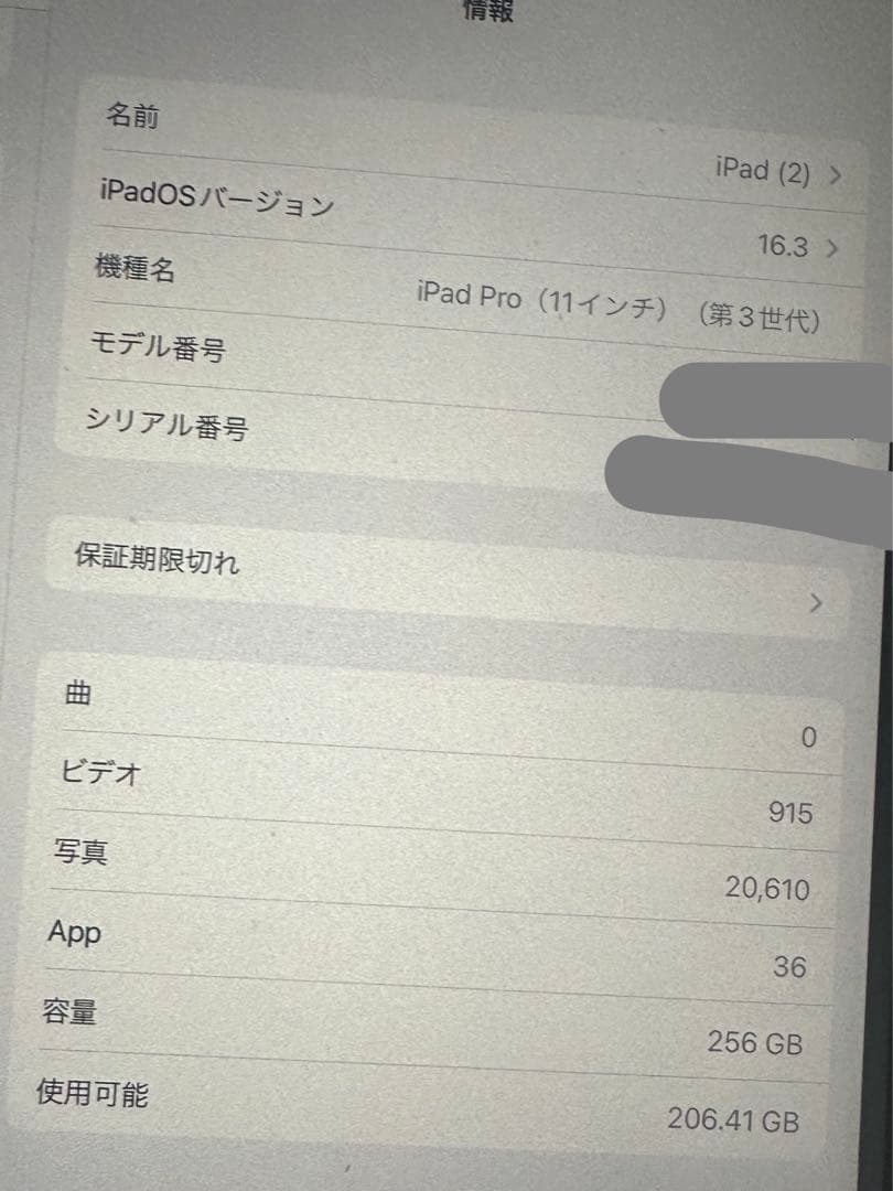 iPadpro11インチ第3世代256GB