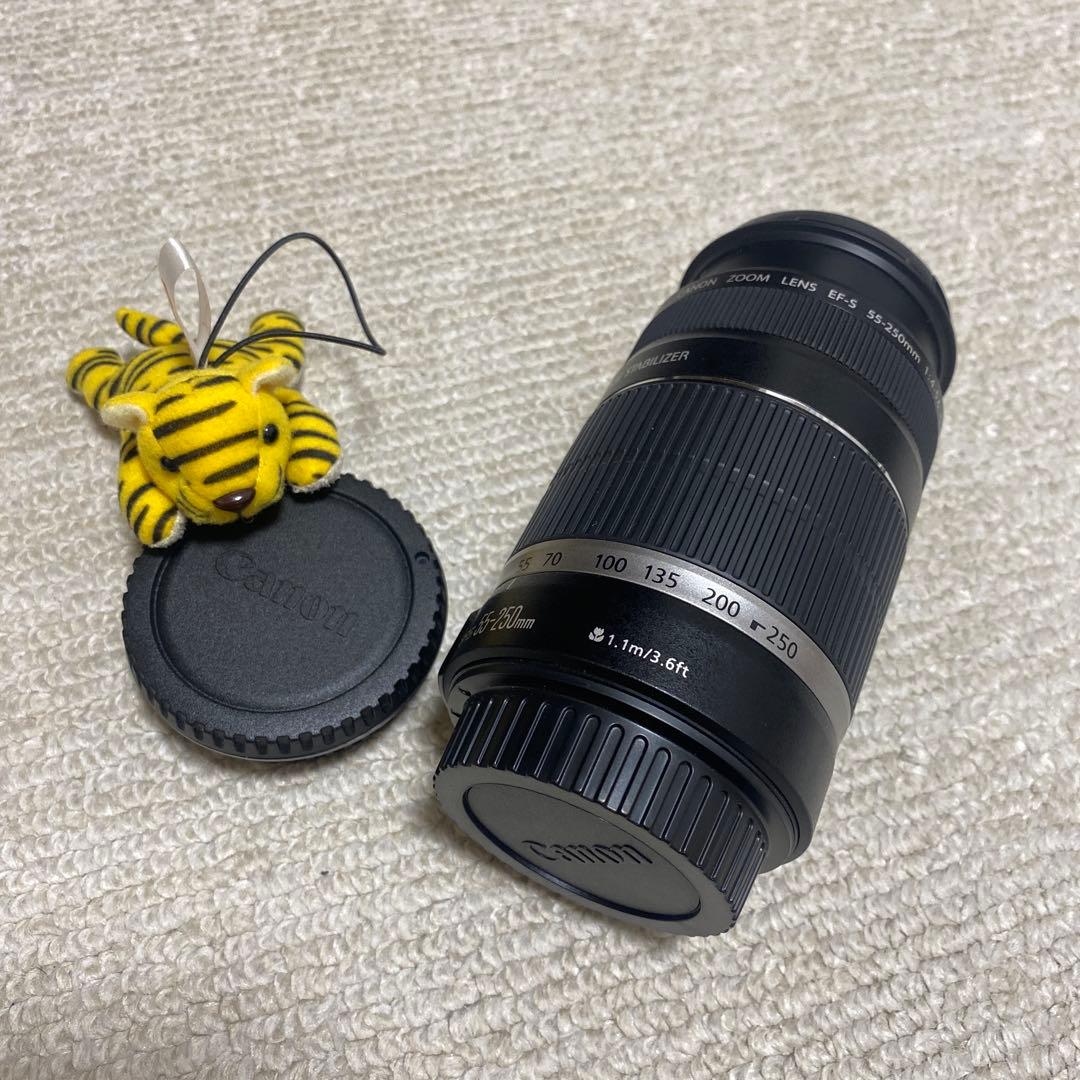 Canon EFS 55-250mm レンズ