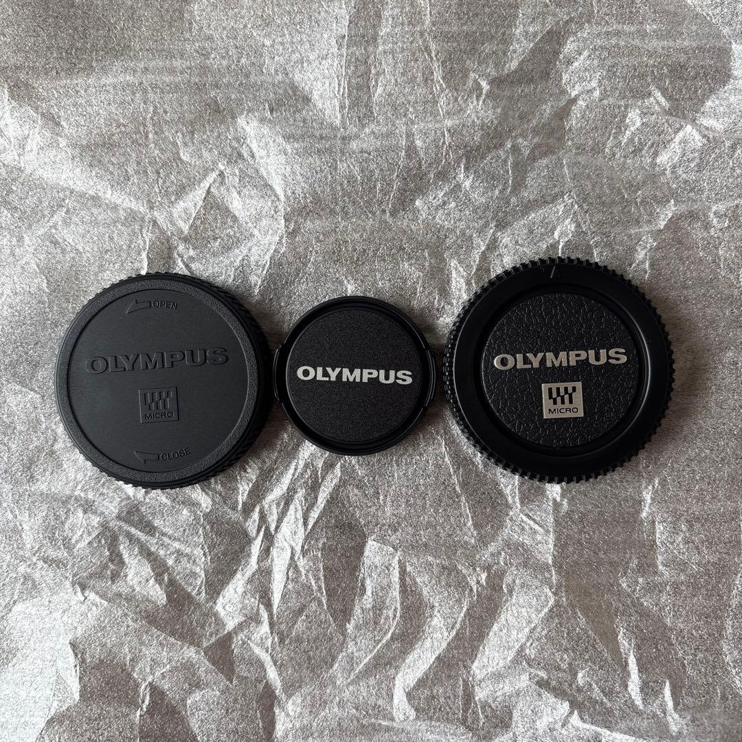 オリンパス PEN E-P7・14-42mm ミラーレス一眼カメラ シルバー