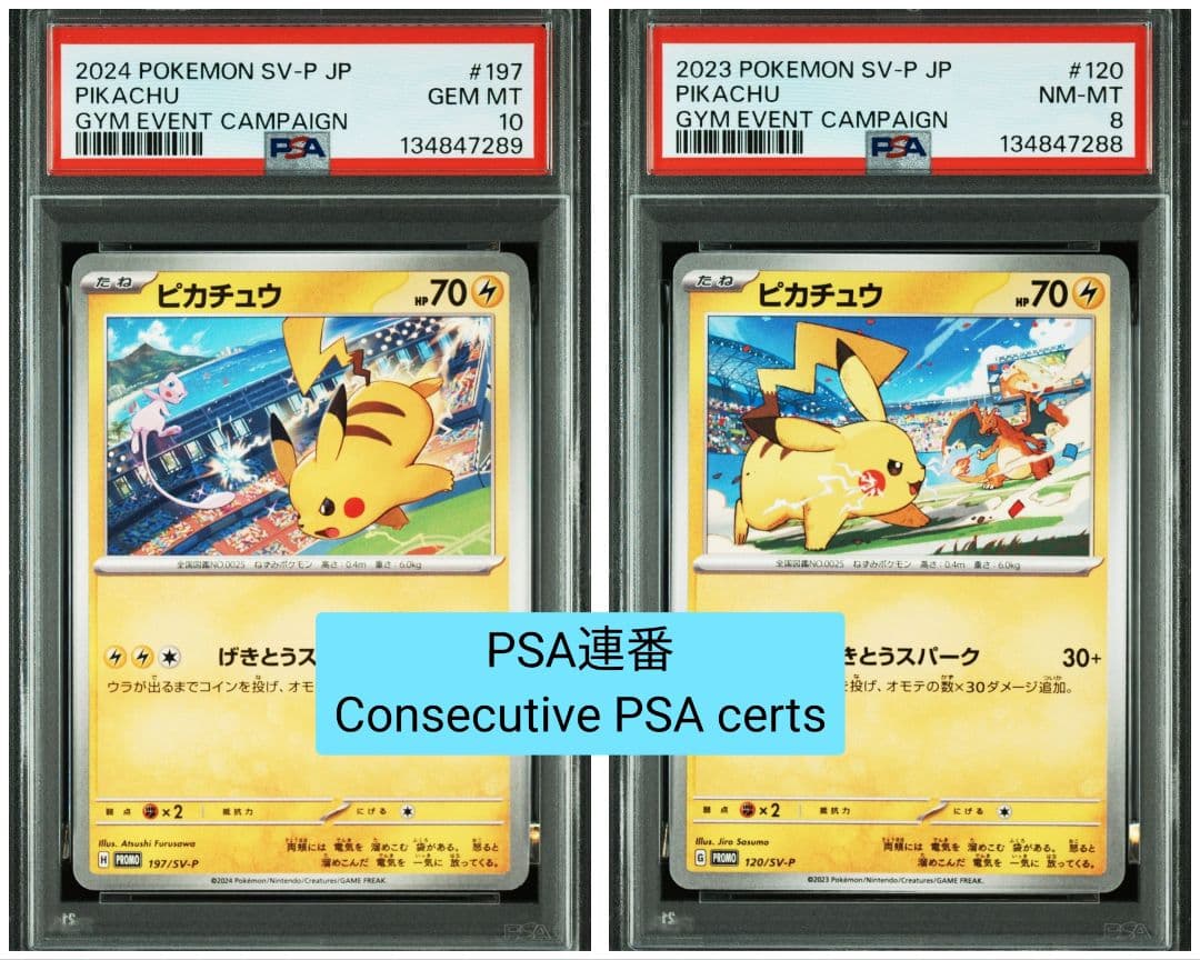 ※【PSA連番】 ピカチュウ げきとうスパーク　　ジムプロモ