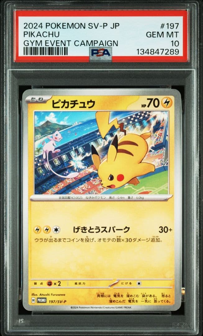 ※【PSA連番】 ピカチュウ げきとうスパーク　　ジムプロモ