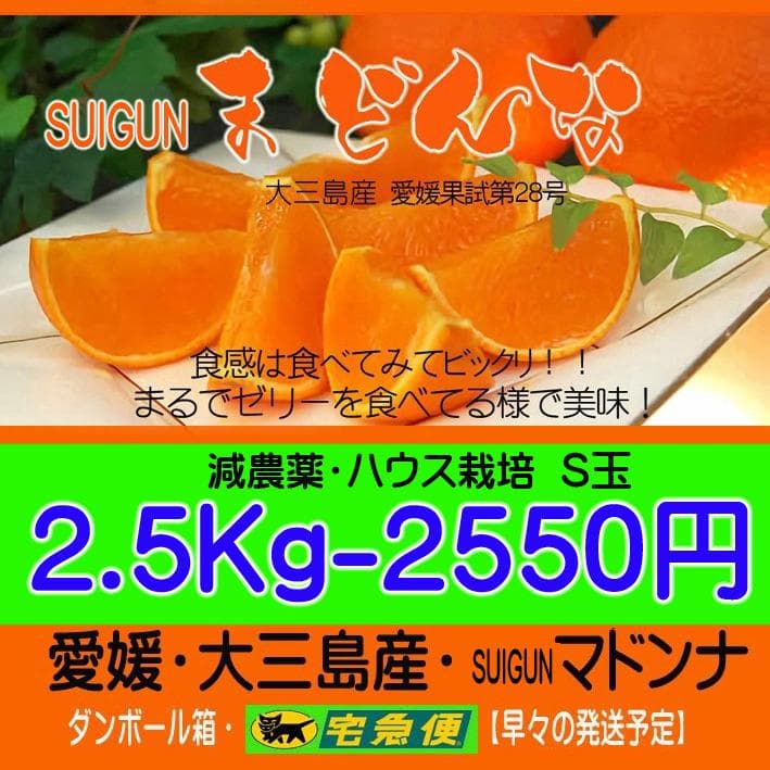 【YYY】SUIGUNマドンナS2.5Kg×3 M4.5×1　４か所送り