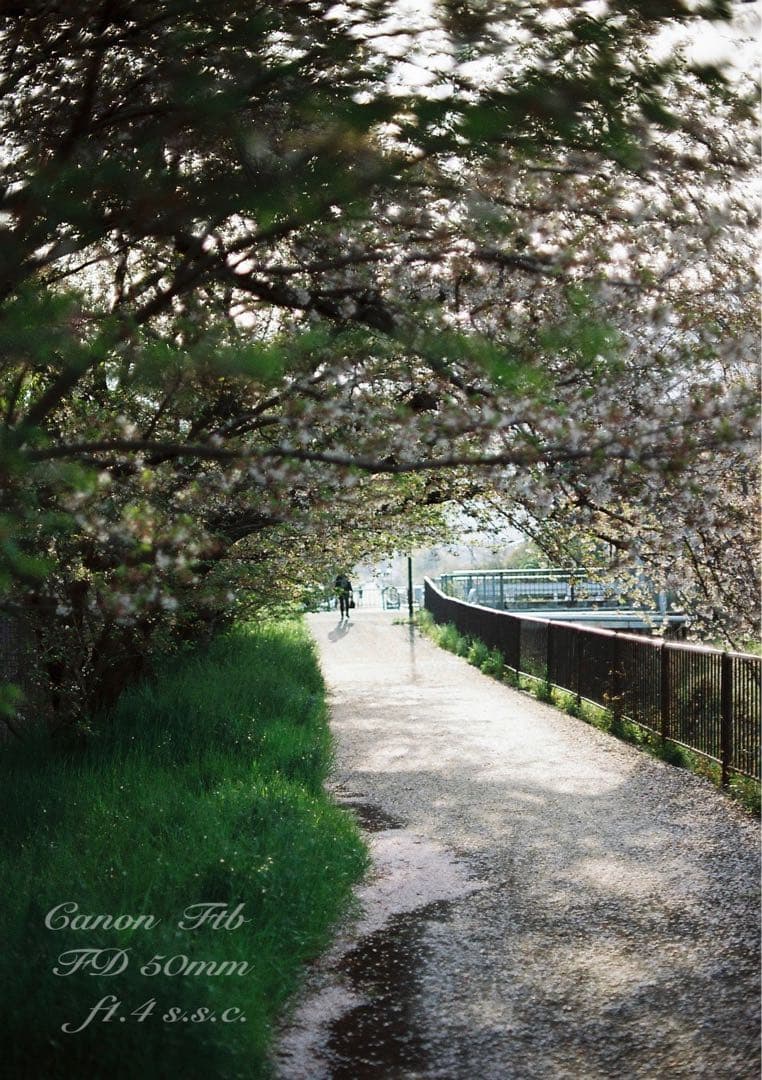 ★Canon FTb ブラック★FD f1.4★完動品＊美品＊初期保証＊作例多数