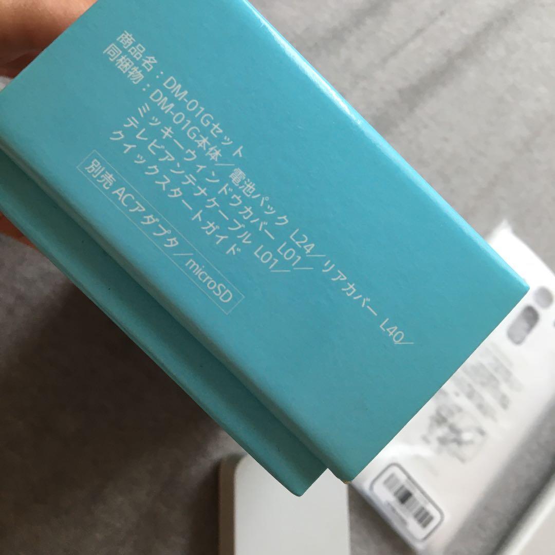 docomo DM-01G 本体セット