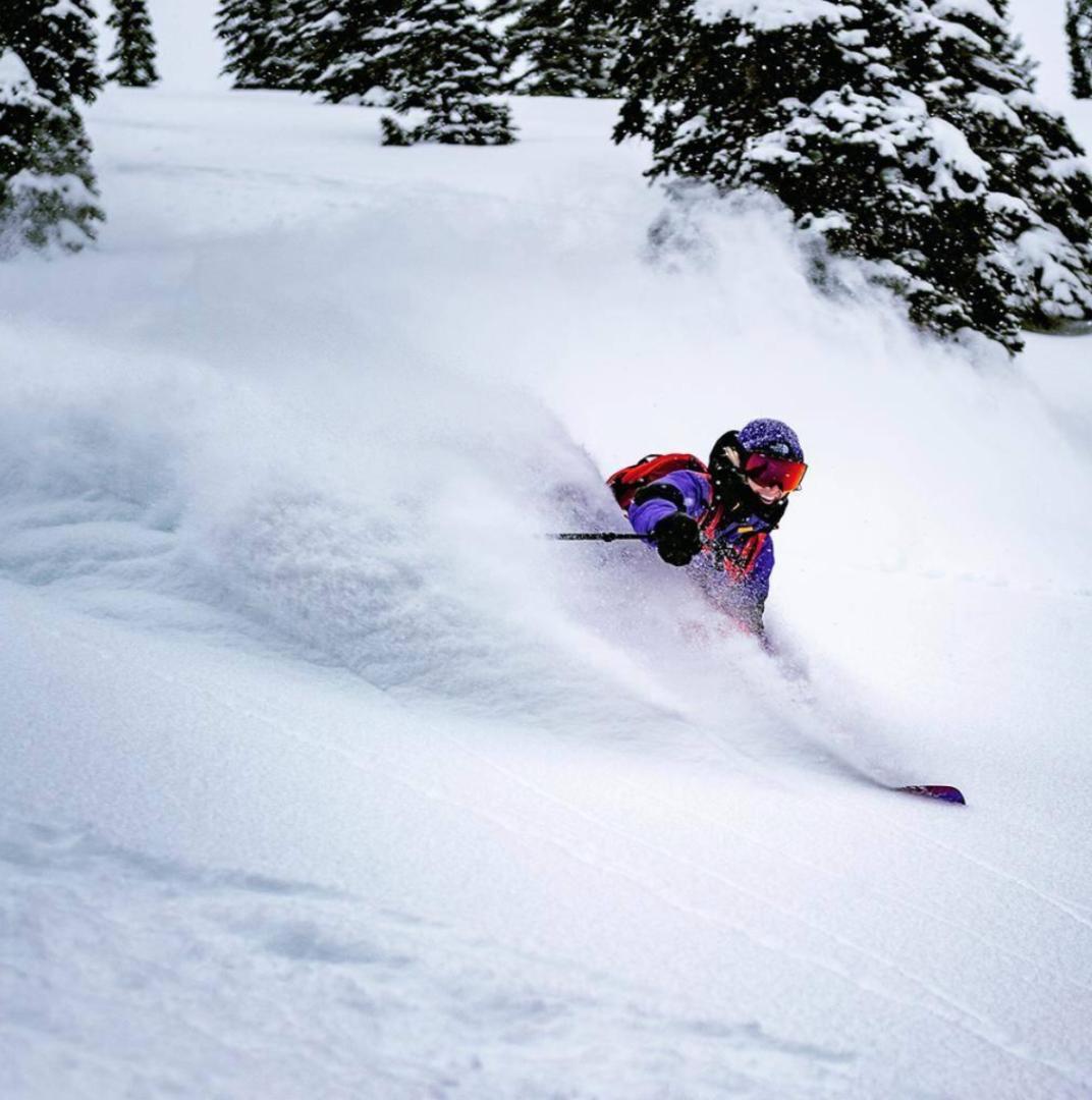 【美品/米国限定】ノースフェイス Team Kit スキージャケット M