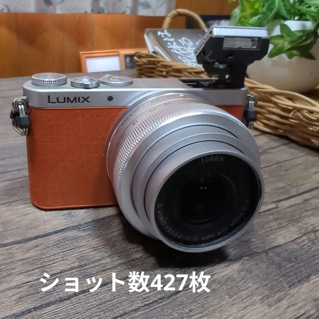 LUMIX　DMC-GM1