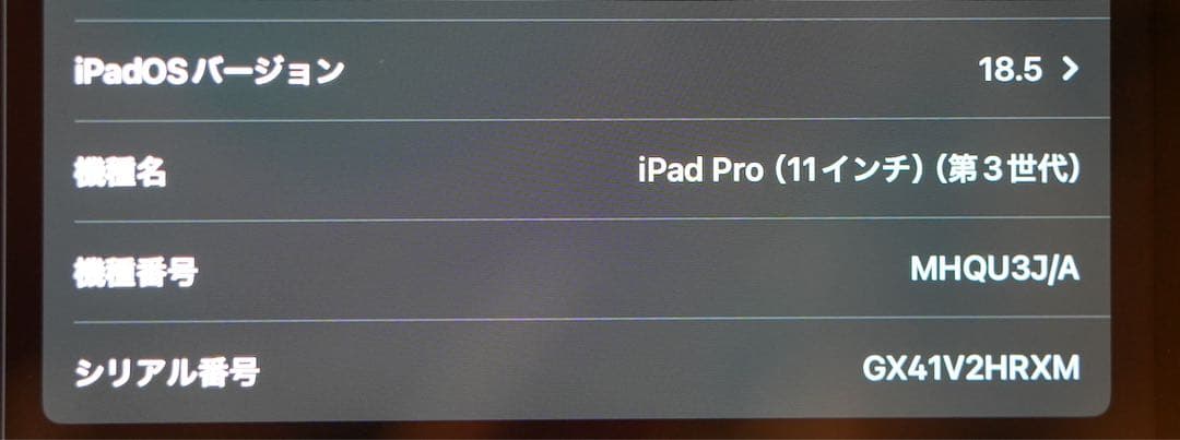 値下げ【美品・オマケ】iPadPro11インチ 第3世代 Wi-Fi 256GB