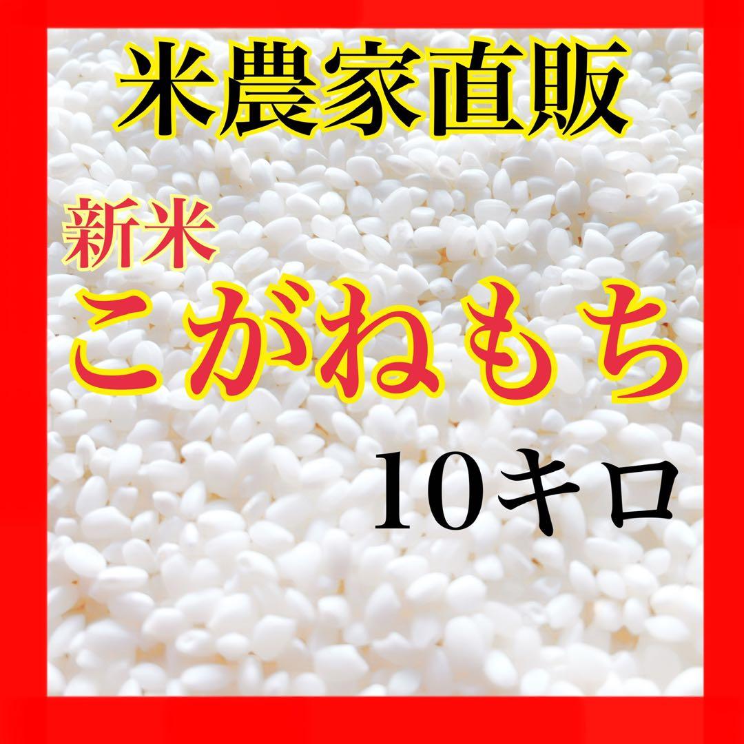 農家直販 減農薬 令和7年 こがねもち もち米 10キロ 玄米 白米も可