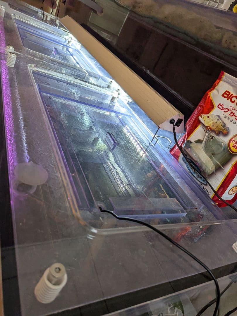 水中LED ゼンスイ　アンダーウォーターled 1500 パーフェクトレッド