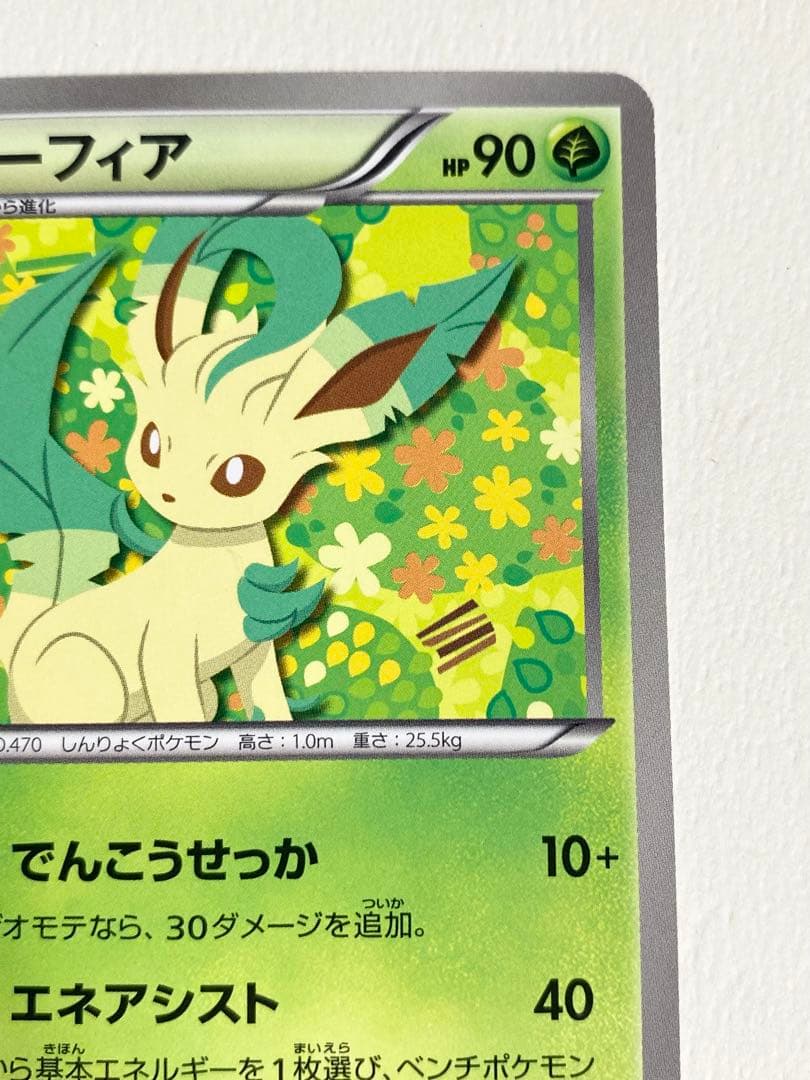 ポケモンカード　bw-p リーフィア　イーブイコレクション　ファイル　プロモ