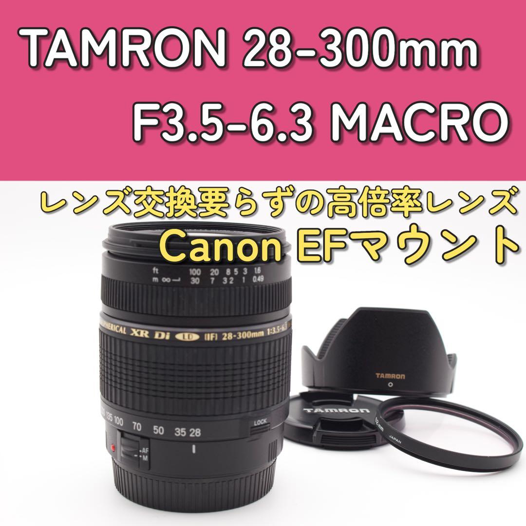 最終価格❣️TAMRON 28-300mm キャノン用　高倍率レンズ