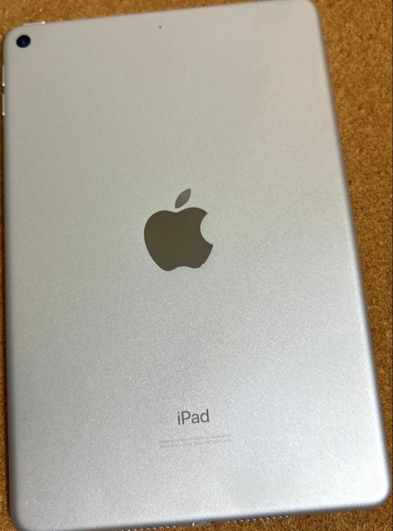 iPad mini5 第5世代 64GB (20) 88%