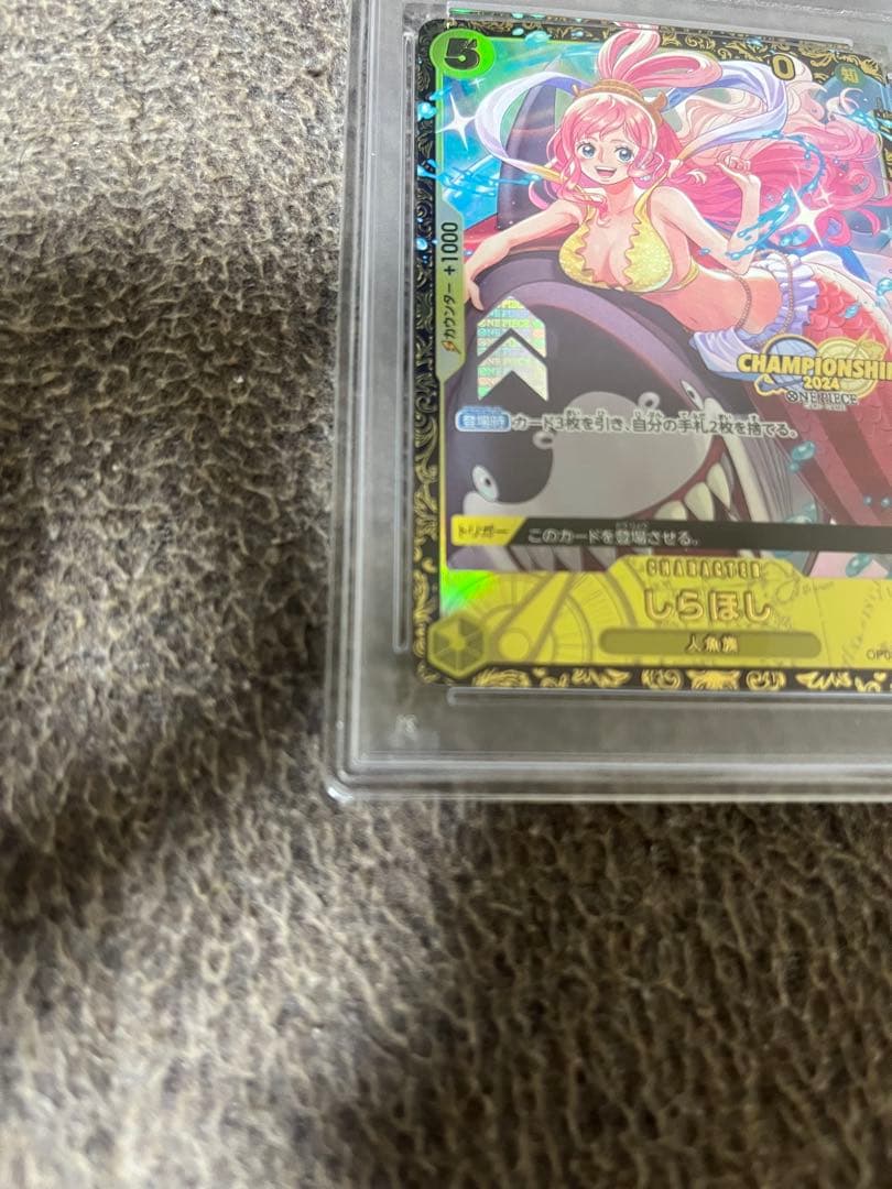 PSA10 しらほしチャンピオンベスト16プロモ正規品（値下げ不可）