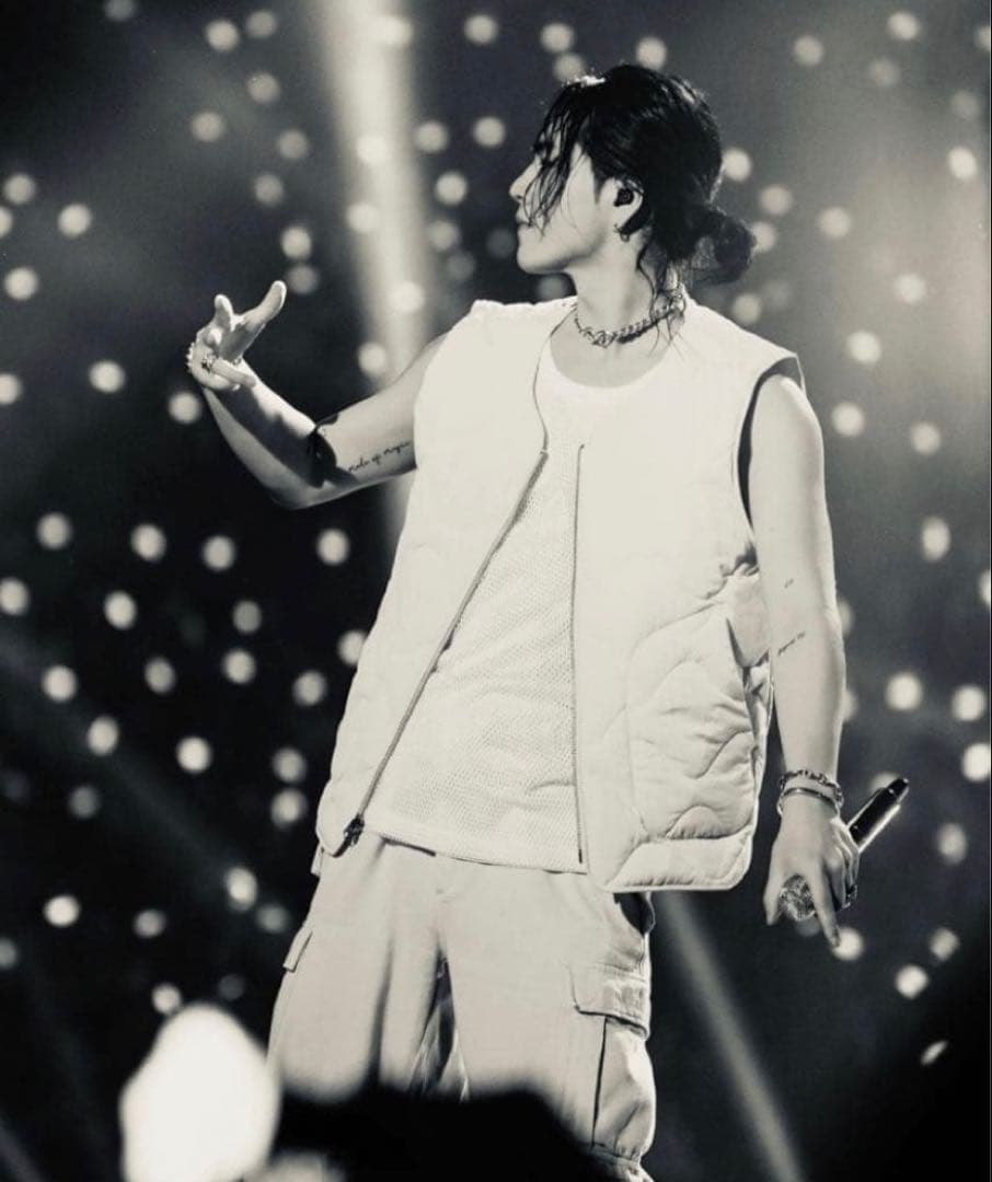 STUSSY RECYCLED NYLON LINER VEST サイズS