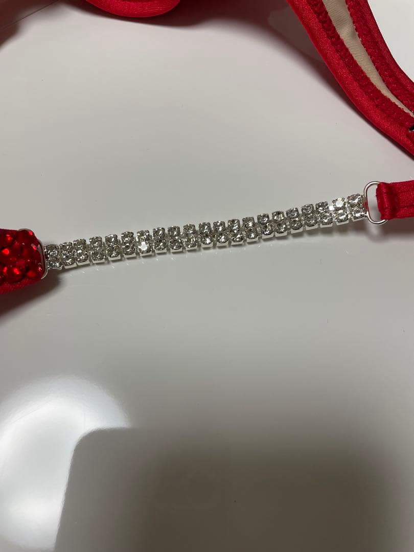 【challie様　オーダー専用ページ】　FWJ ウェルネス用ビキニ