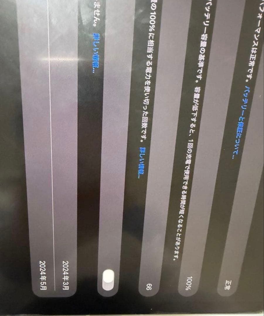 M4 iPad Pro 256GB セルラーモデル