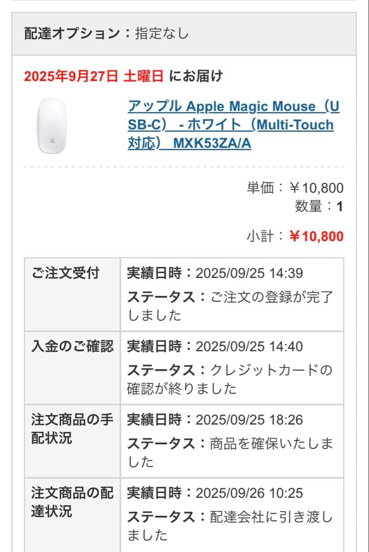Apple Magic Mouse【USB-C】最新モデル