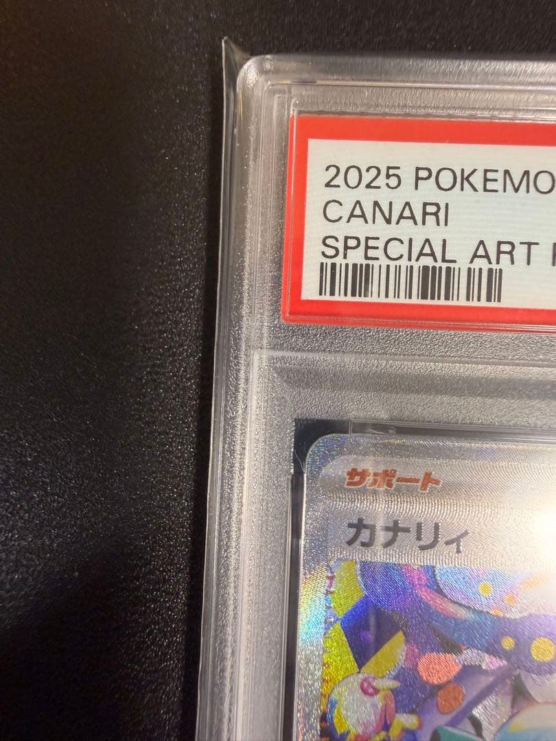 [PSA10] カナリィSAR