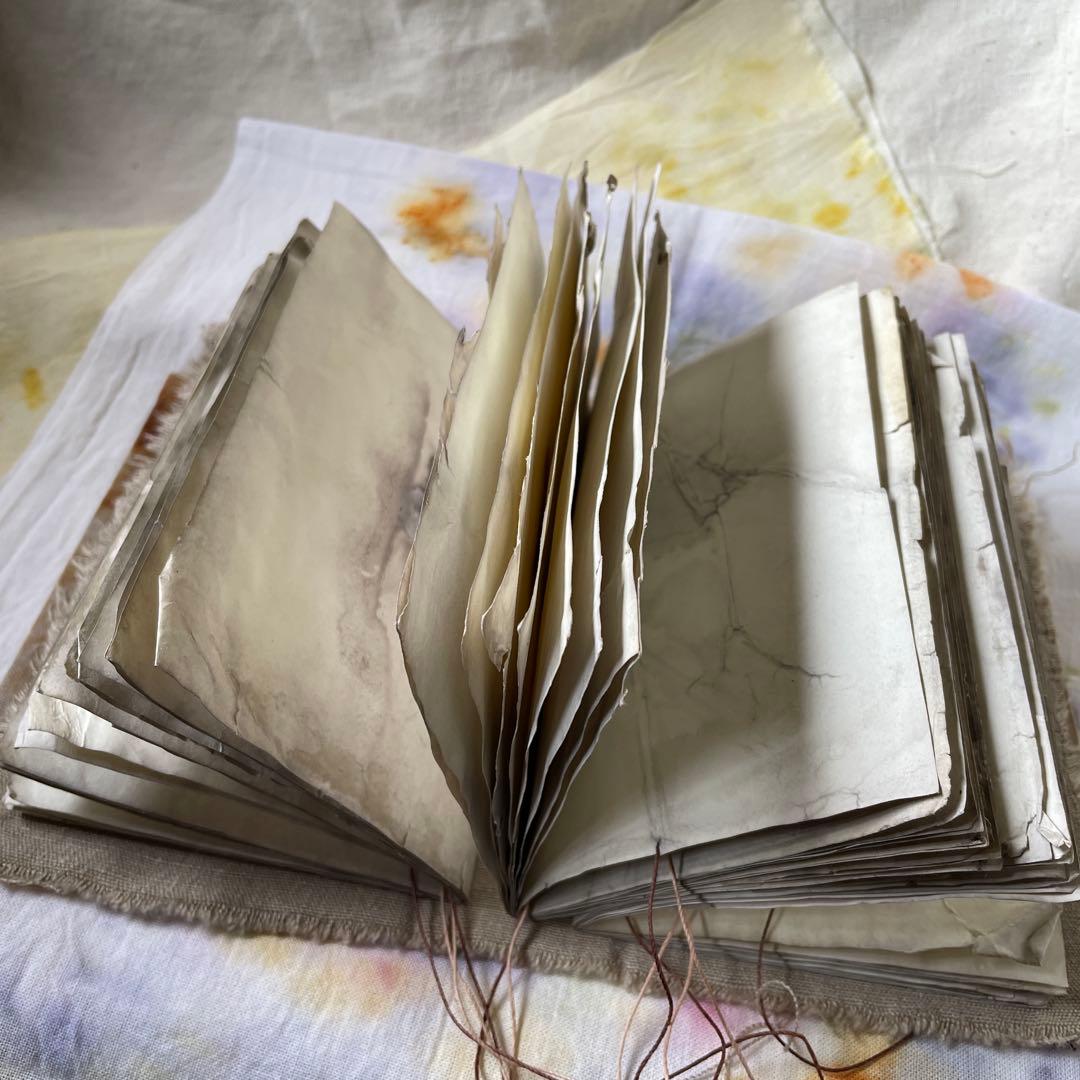 7月20日　ぱおら様2冊　「花ゲリラの本」　 「襤褸の本13〜路地裏の本2〜」