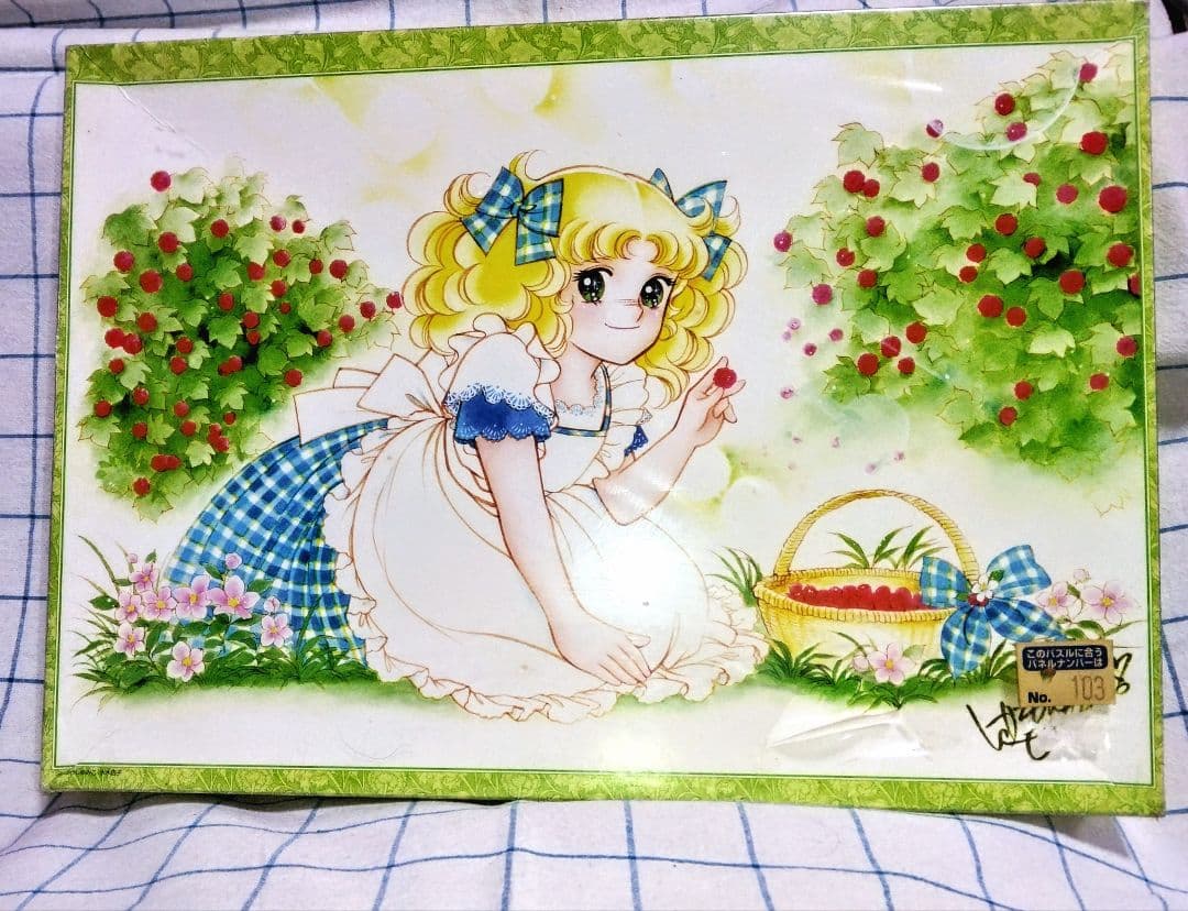 ☆ ９,０００円！ キャンディキャンディ 1000ピースパズル ベリーシーズン