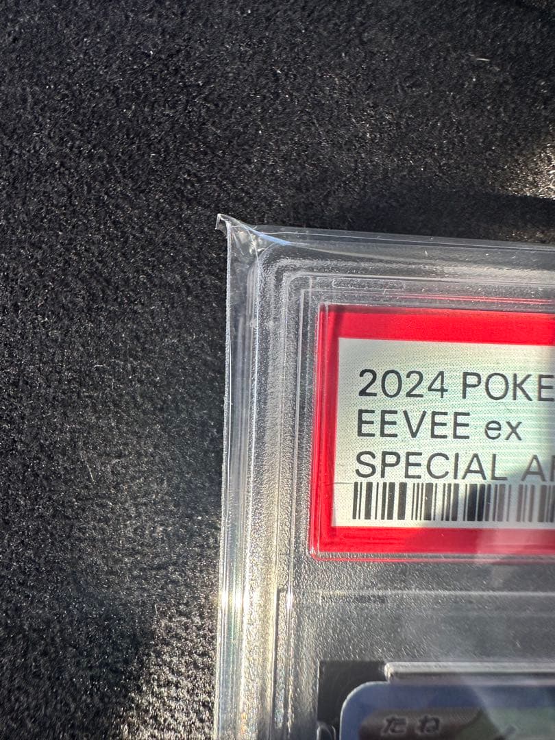 イーブイex SAR SV8a テラスタルフェスex 223/187