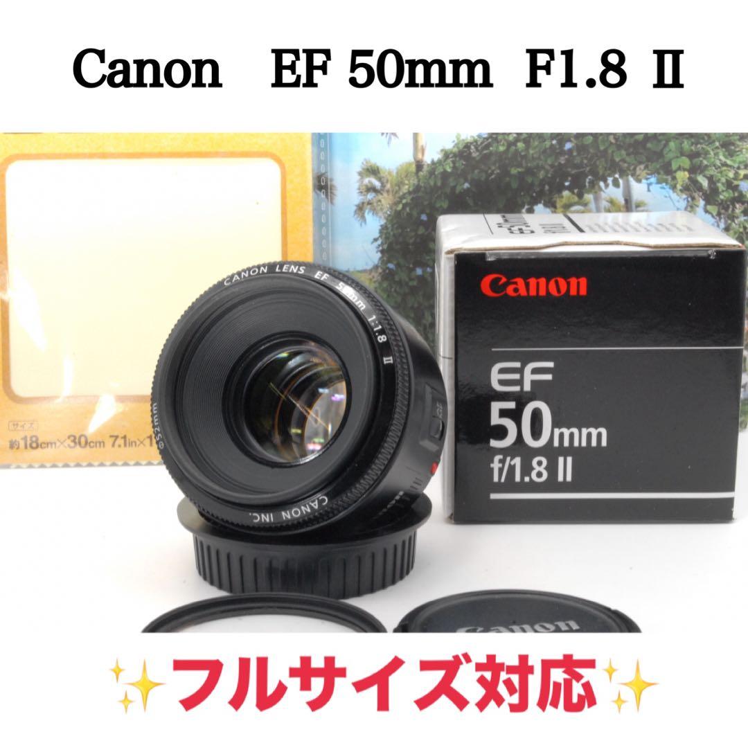 ✨キヤノン純正✨Canon EF 50mm F1.8 Ⅱ 単焦点レンズ 美品