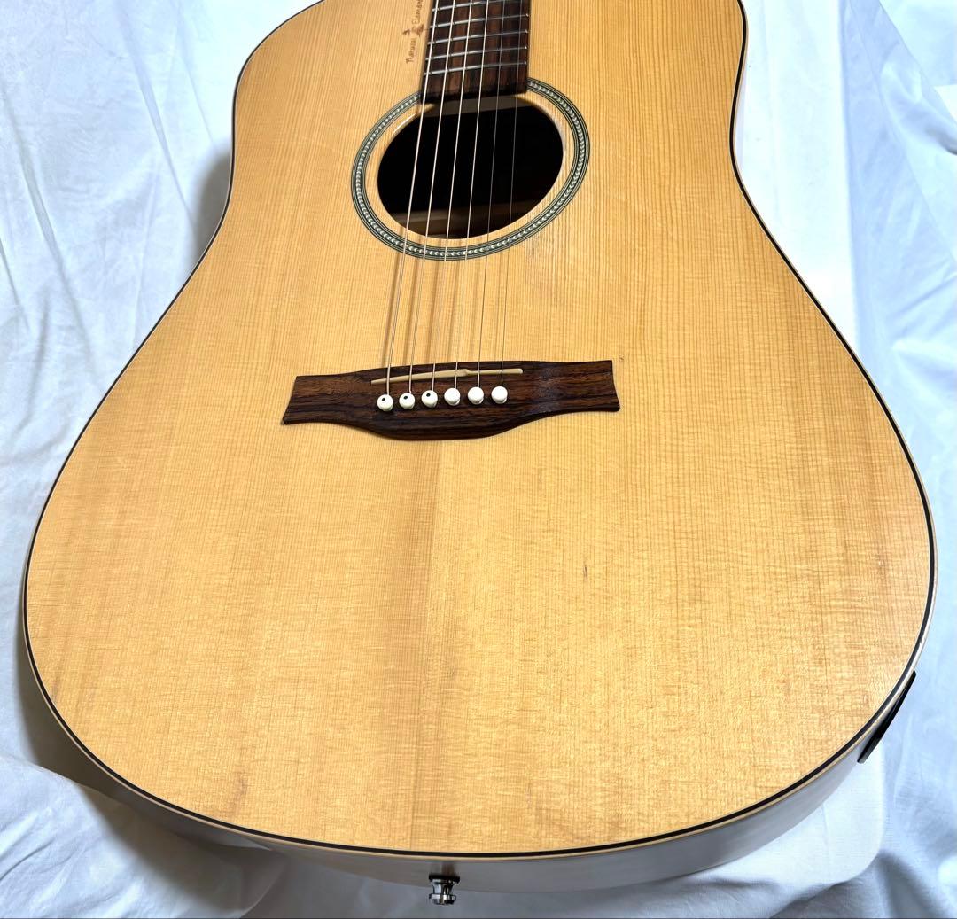 【新品弦張替済】Seagull エレアコ Amber Trail SG T35