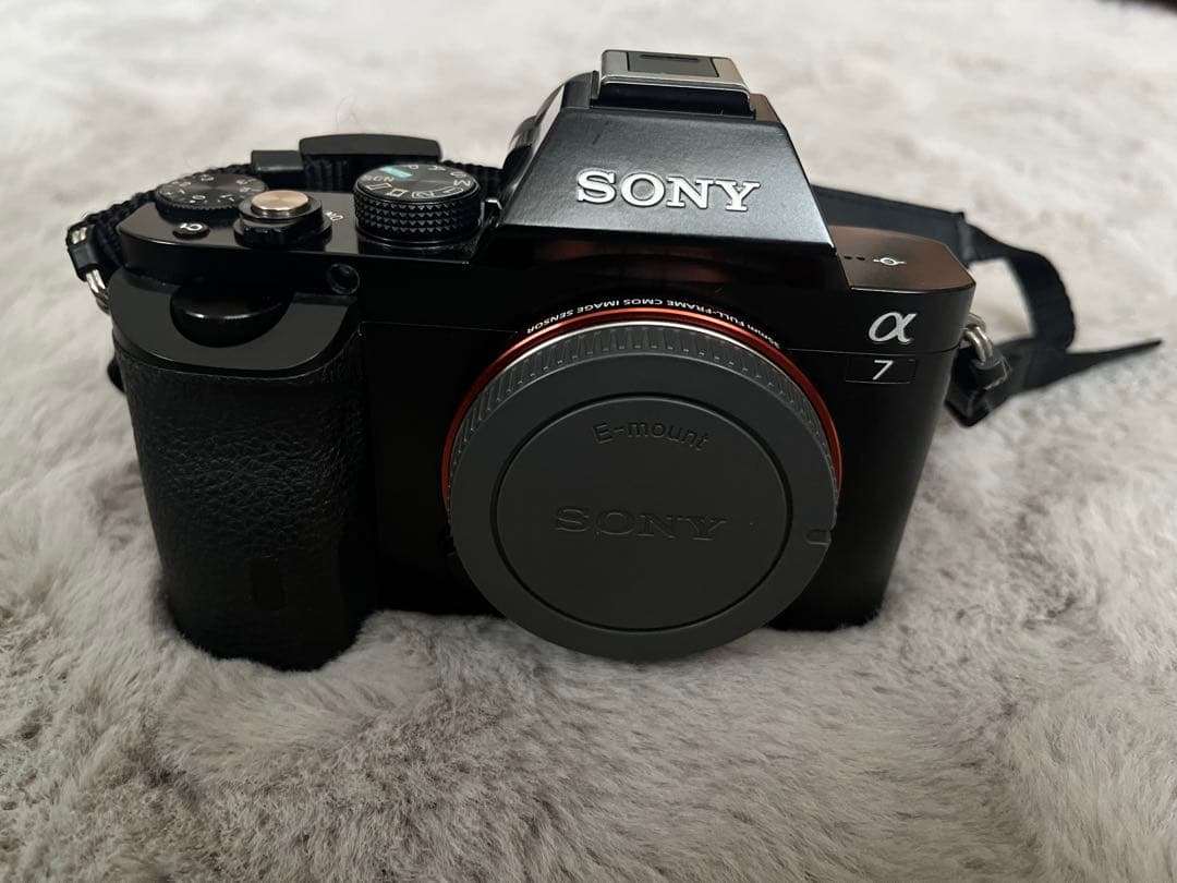 sony α7 + SAMYANG AF 14mm F2.8 FE 広角レンズ