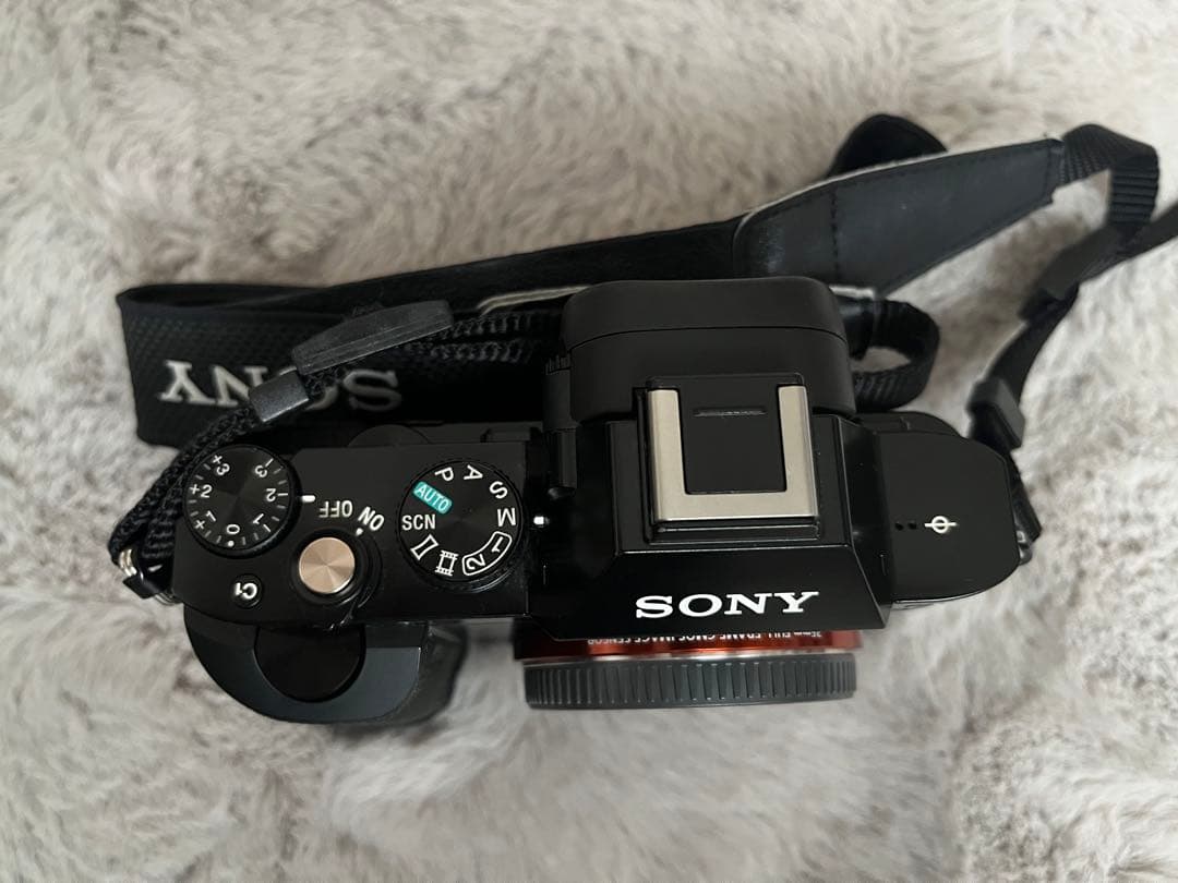 sony α7 + SAMYANG AF 14mm F2.8 FE 広角レンズ