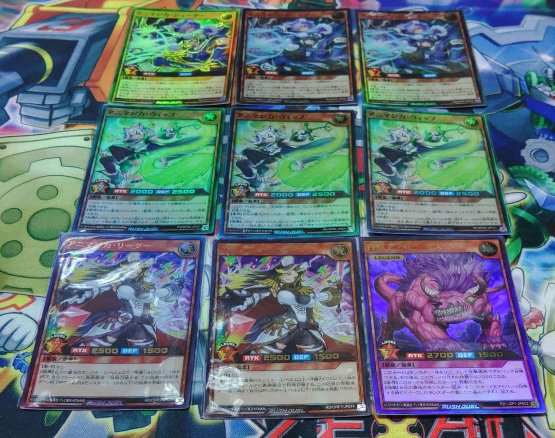 遊戯王　アニマジカ　デッキ　構築済み